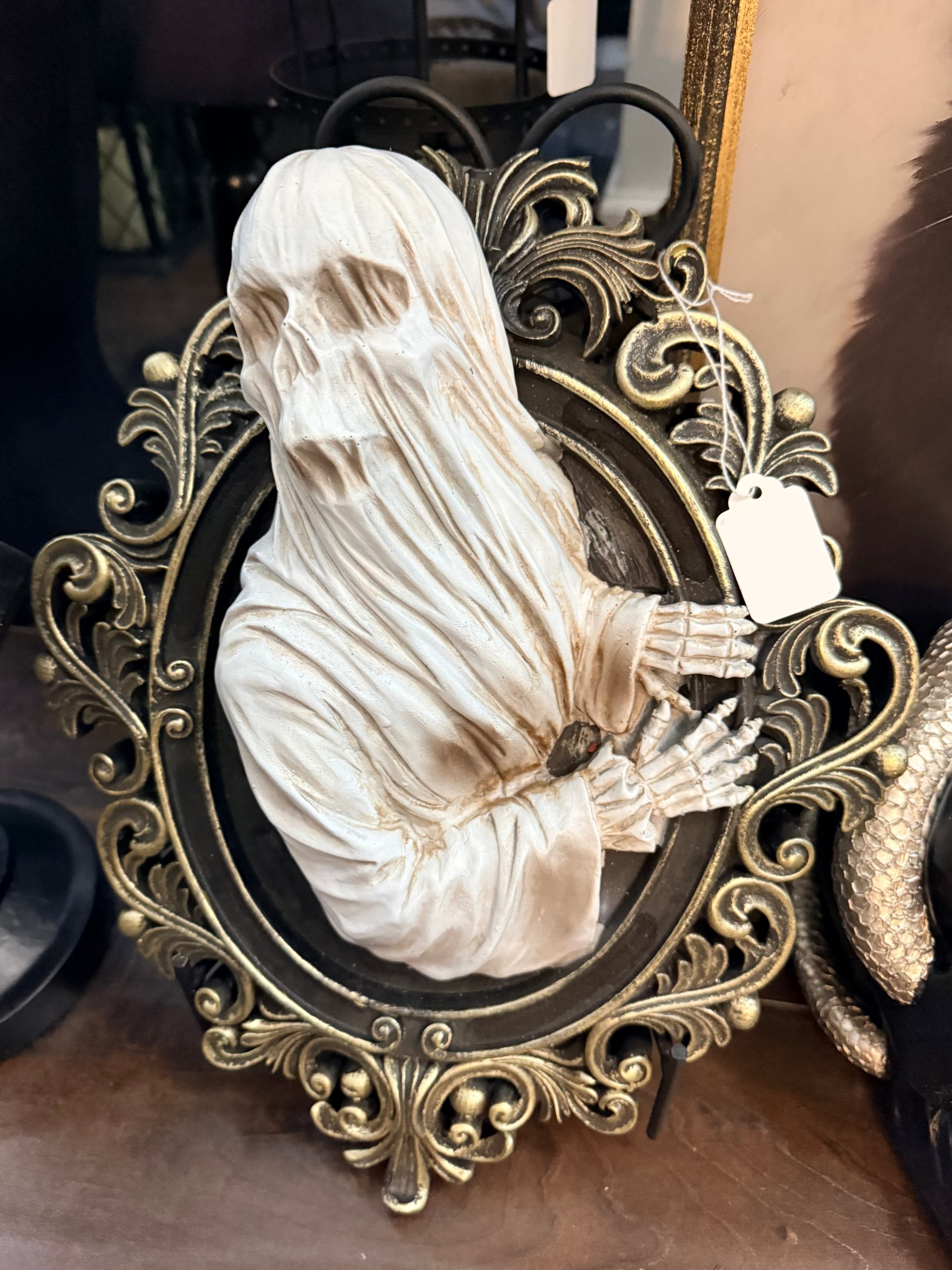 Phantom in the Mirror Wall Plaque