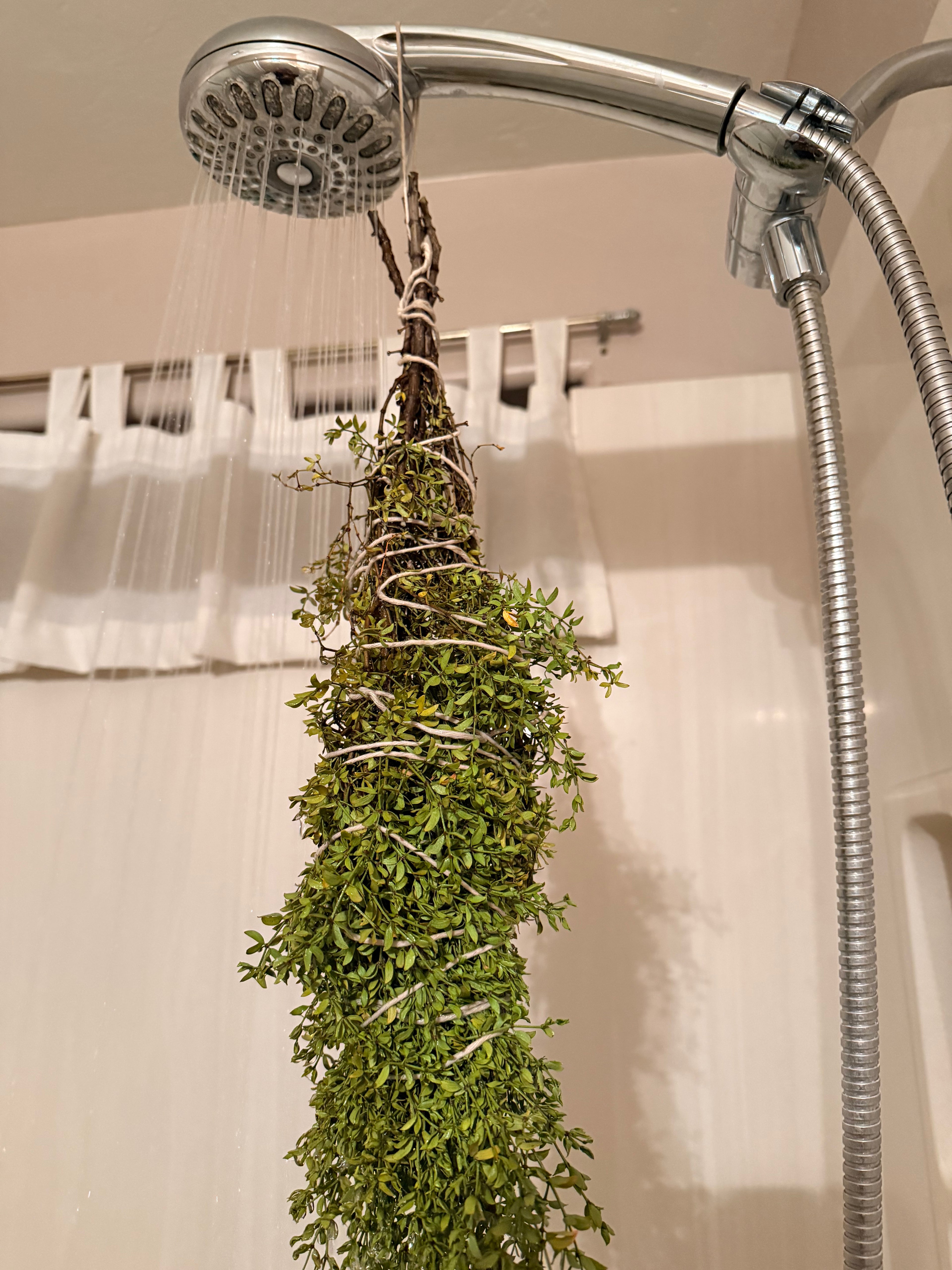 Sonoran Creosote Shower Bundle