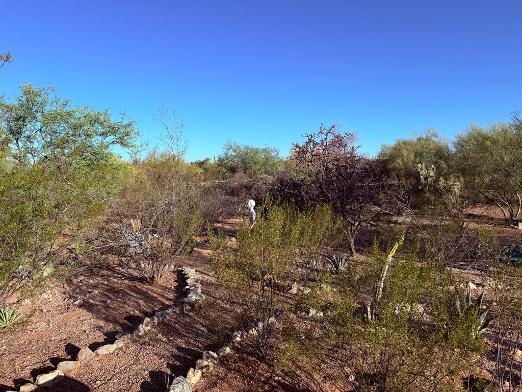 Sonoran Creosote Shower Bundle