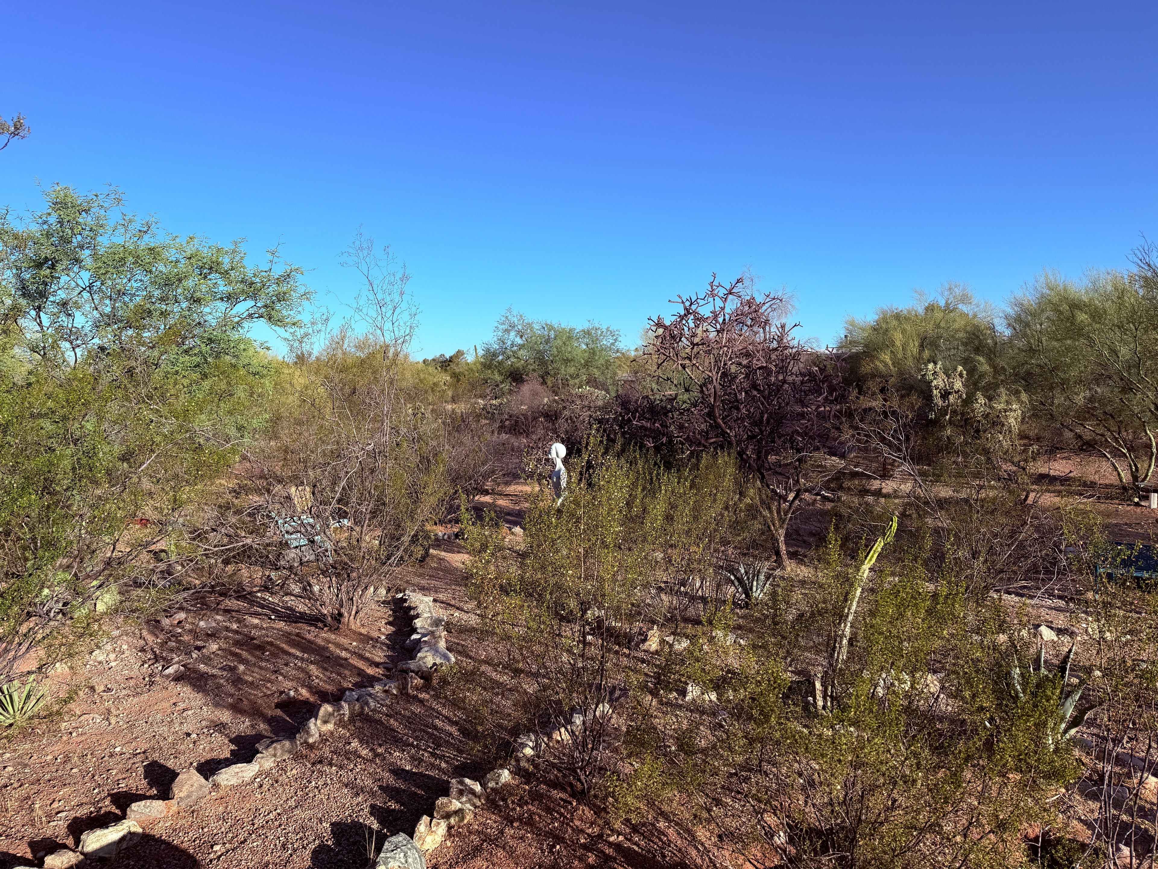 Sonoran Creosote Shower Bundle