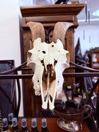 The Horned Guardian
