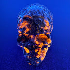 Human Skull - Yooperlite