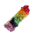 Seven Chakra Sage Bundle